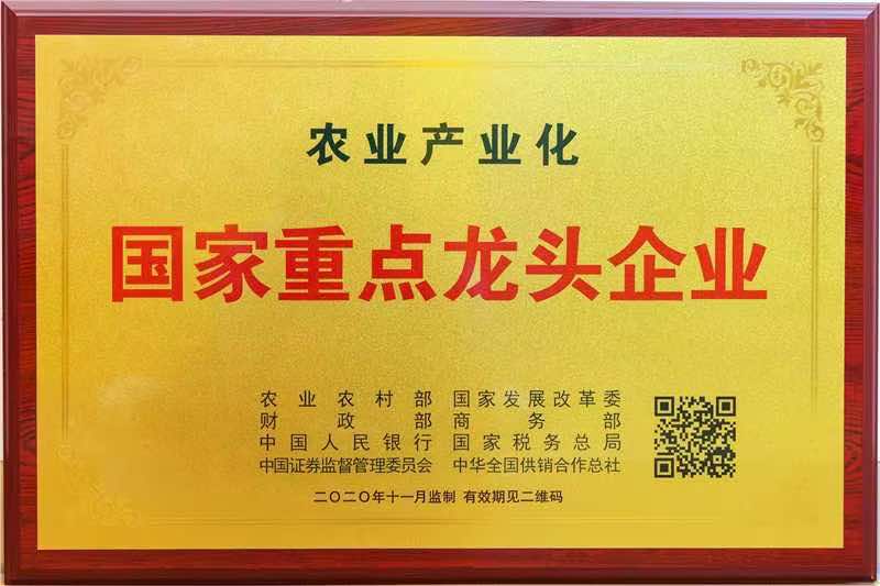 國家重點(diǎn)龍頭企業(yè)